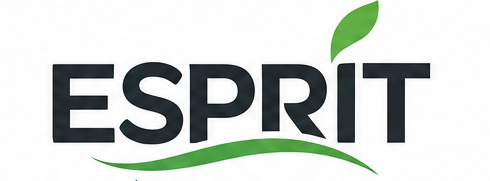 associationesprit.com
